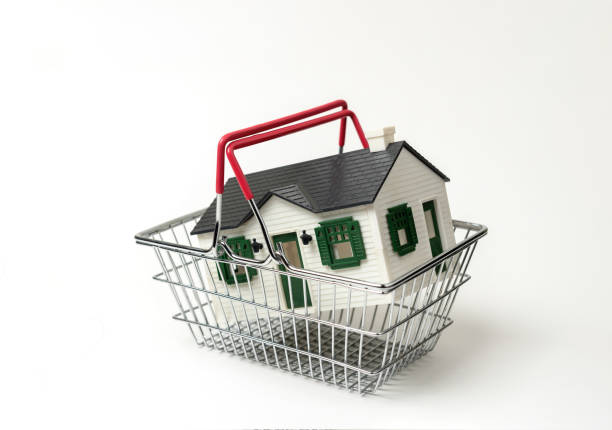 buy a house concept. small house in a shopping cart stock photo