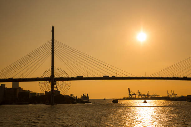 istock Tempozan Harbor Village 1125778441
