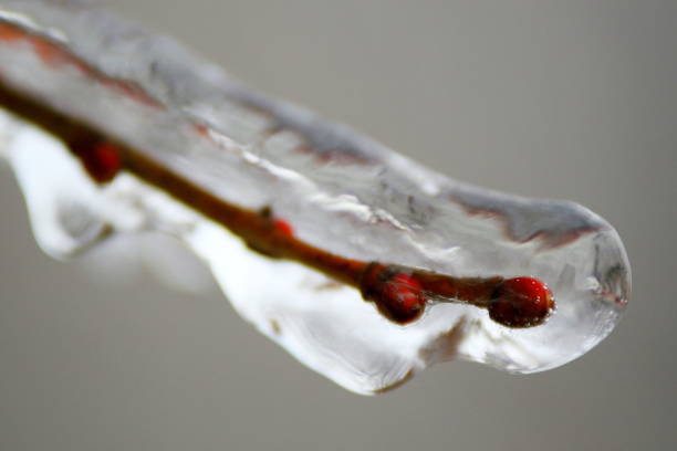 istock Winter ice storm, in Bucharest, Romania. 1125779130