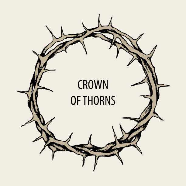 Easter banner with crown of thorns and words Vector Easter banner with crown of thorns and words thorn wreath stock illustrations
