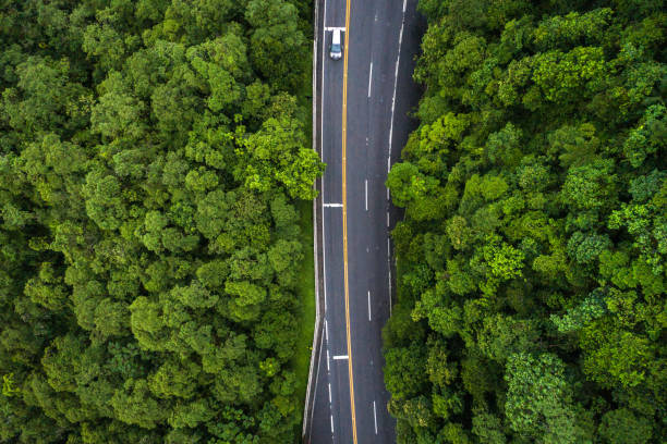 istock Aerial View of a road on a forest 1125779328