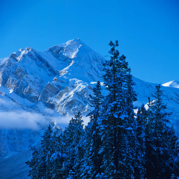 Pyramid mountain at sunrise in Jasper National Park