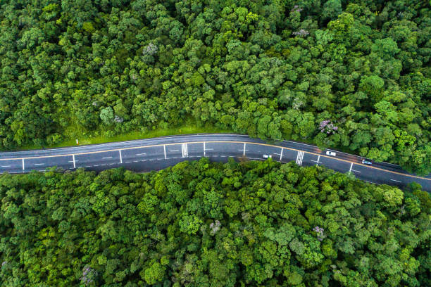 istock Aerial View of a road on a forest 1125780071
