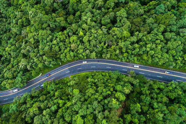 вид с воздуха на дорогу в лесу - curve driving winding road landscape стоковые фото и изображения