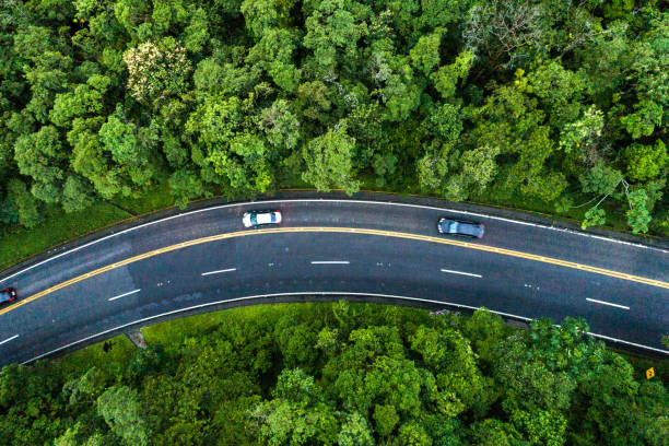 istock Aerial View of a road on a forest 1125780102