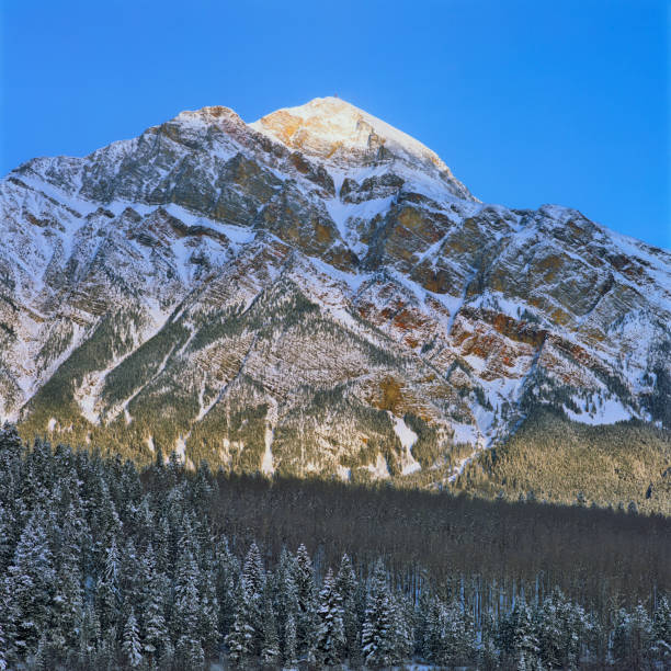istock Jasper National Park in Alberta Canada 1125780529