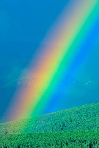 istock Jasper National Park in Alberta Canada 1125781444
