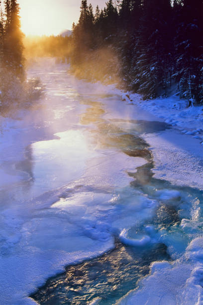 istock Jasper National Park in Alberta Canada 1125781916