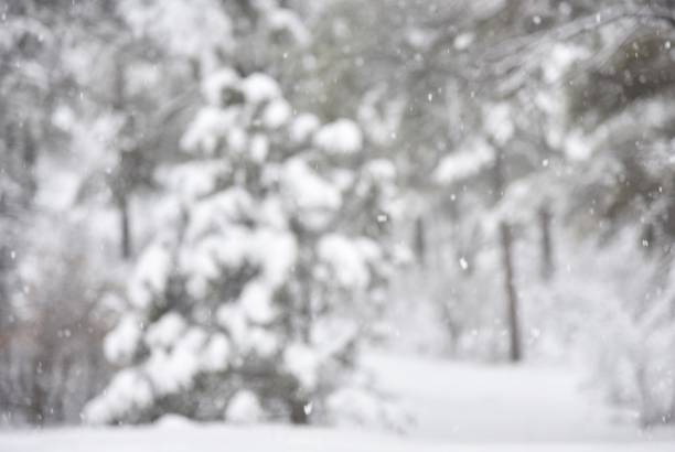 Sparkly moments in snow