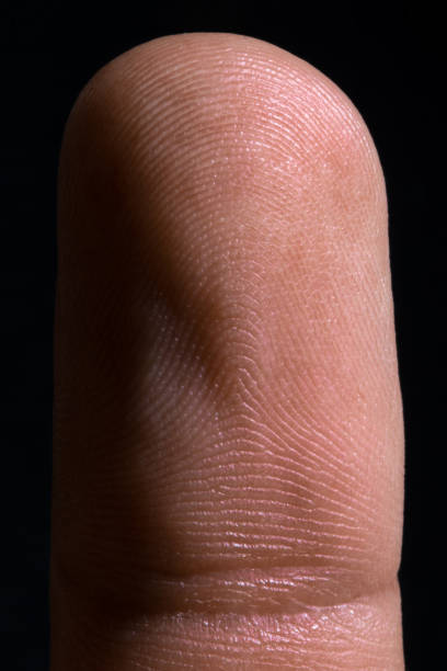 istock an image of human finger close up 1125783821