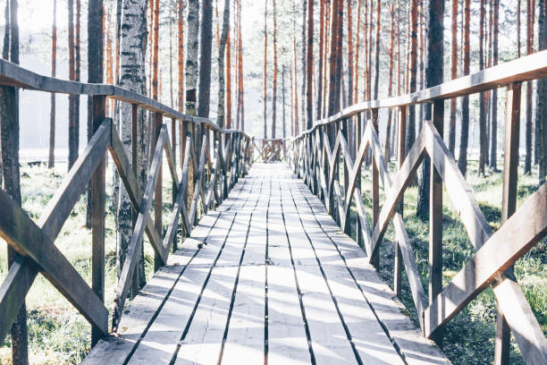 istock Wooden pier at sunrise. 1125784527