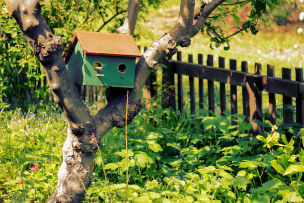 istock Bird House - Descanso Gardens 1125784617