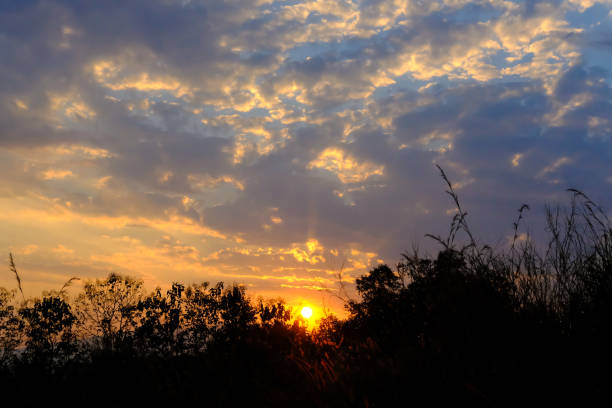 sun sunset sunrise with twilight evening sky at dawn dusk and forest silhouette