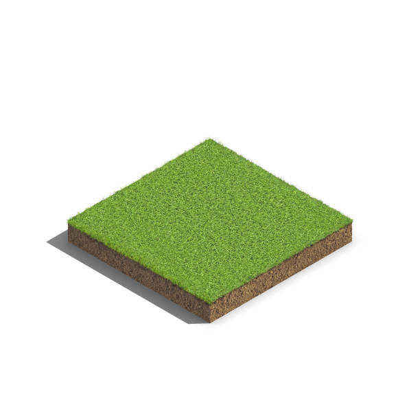 istock cubical land cross section with underground earth isolated white background 1125788555