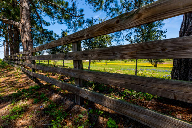 素朴な農場で古い木製のフェンス。 - rail fence ストックフォトと画像