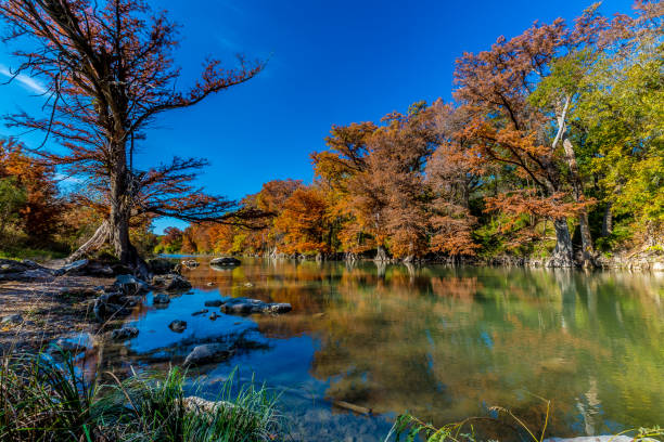 istock Fall Foliage at Guadalupe State Park, Texas 1125788756