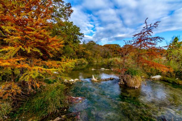istock Clear Creek and Fall Cypress Trees in Texas. 1125789974