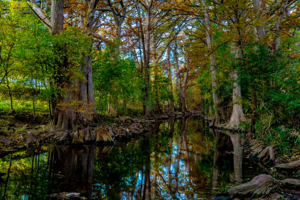 istock Fall Foliage on Cibolo Creek, Texas. 1125789990