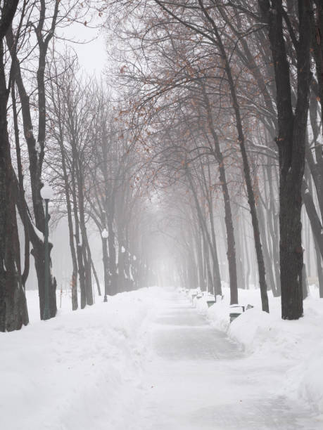 istock Alley in winter park 1125793047