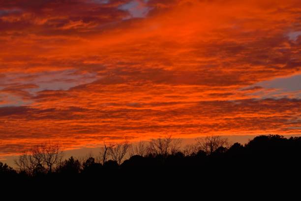 istock Assateague Island Sunset in Winter 1125793805
