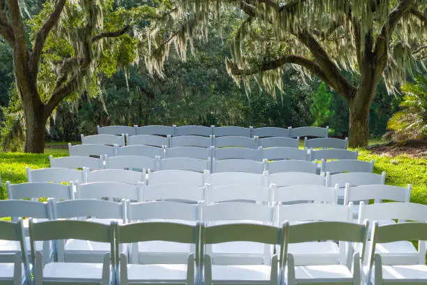 Garden Wedding chairs in a row