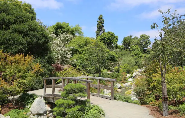 Photo of Landscape with wooden bridge