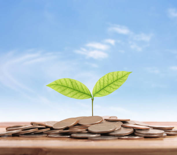 istock graph money coins stock finance 1125796456