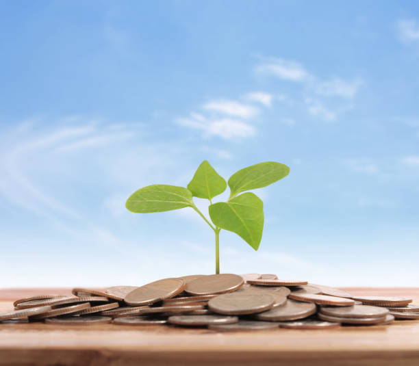 istock graph money coins stock finance 1125796458