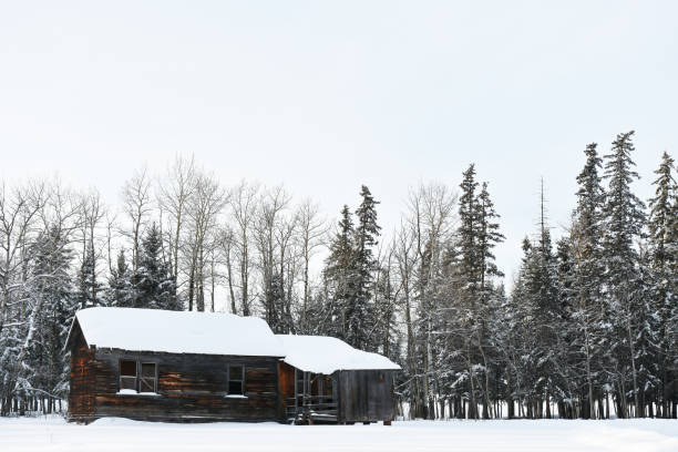 istock Abandoned Old Farmhouse 1125798013