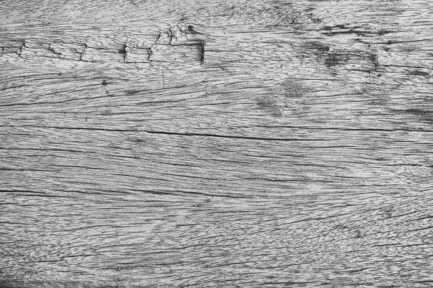 istock Abstract rustic surface white wood table texture background. Close up of rustic wall made of white wood table planks texture. Rustic white wood table texture background empty template for your design. 1125799934