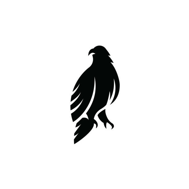 ilustrações de stock, clip art, desenhos animados e ícones de eagle icon isolated on white background - perching