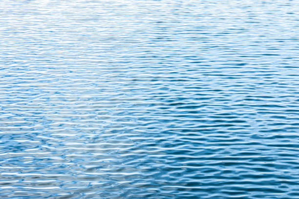 istock Ripple Water in swimming pool with sun reflection 1125806168