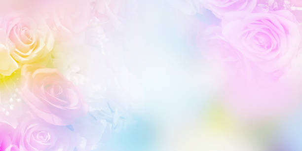 istock Floral abstract pastel background with copy space. 1125806216