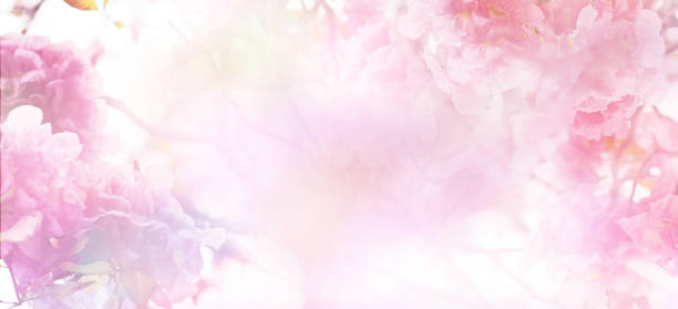 Photo of Floral abstract pastel background