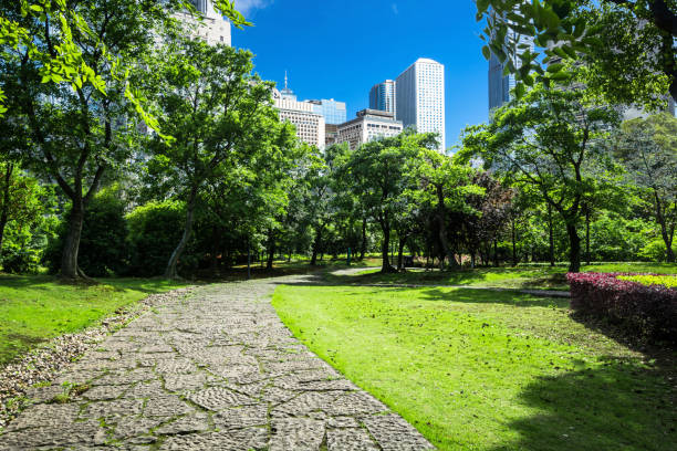 istock Beautiful park at a sunny day 1125809972