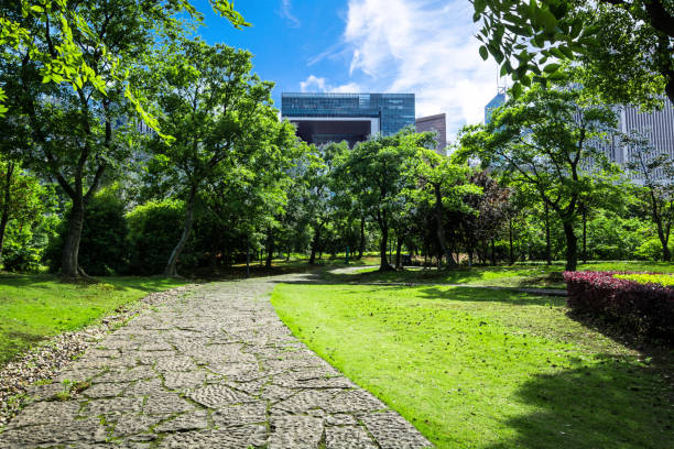 istock Beautiful park at a sunny day 1125809973