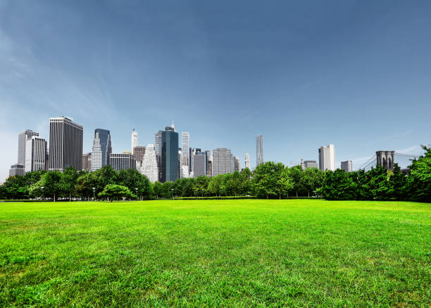 istock Park in New York 1125809979