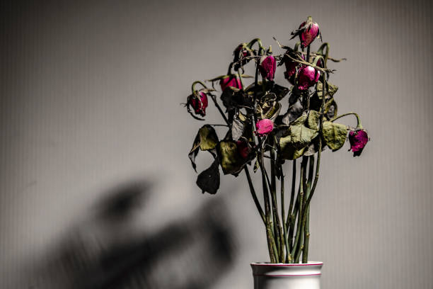 Pink flowers in a vase