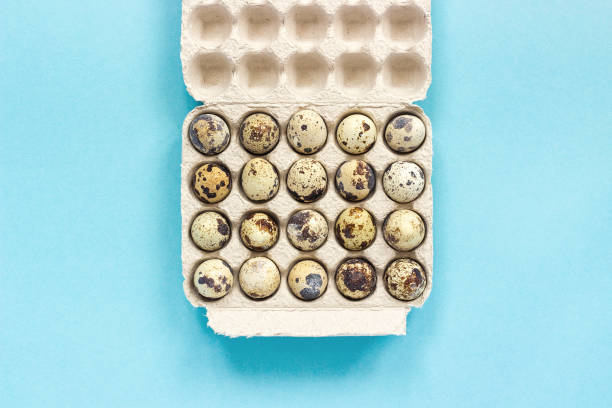 istock Quail eggs in cardboard box on blue paper background. Template Top view Copy space lettering, text or your design 1125813587