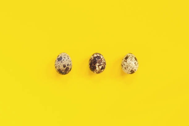 Three quail eggs on yellow paper background in minimal style. Easter concept. Template Creative Flat lay Top view Copy space lettering, text or your design