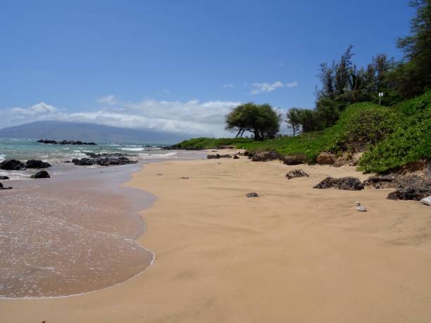 visualizar o kamaole beach park eu em maui - beach park - fotografias e filmes do acervo