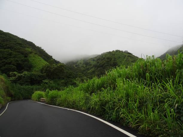 istock View of Maui's Highway route 340 1125818836