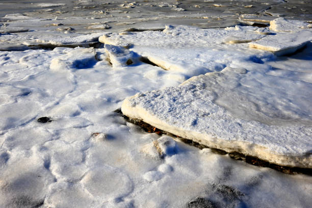 istock The winter sea ice 1125819479