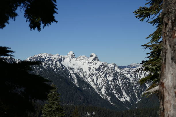 Twin sisters mountain in the distance
