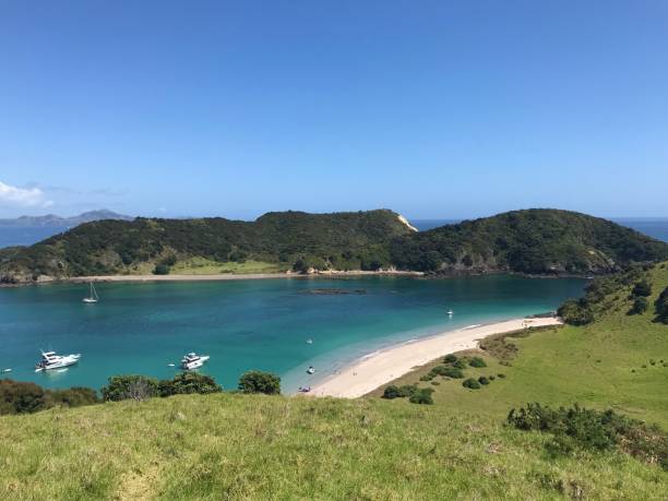 istock New Zealand 1125823949