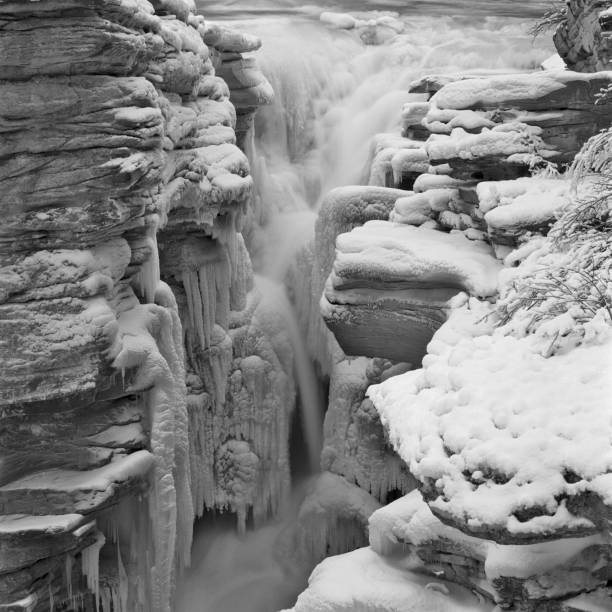 istock Jasper National Park in Alberta Canada 1125824380