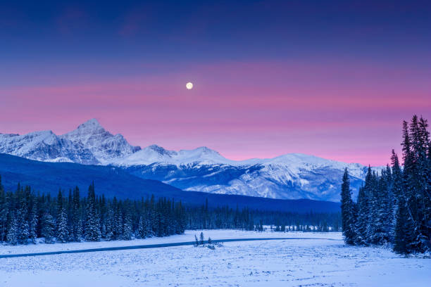 parc national de jasper en alberta canada - vibrant color forest ice snow photos et images de collection