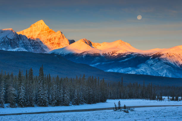 istock Jasper National Park in Alberta Canada 1125825482
