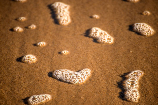 istock Foam bubbles of the surf on sand 1125827446