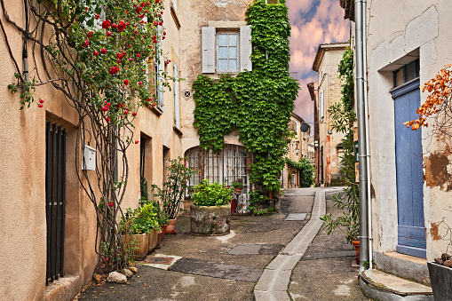 Lourmarin, Vaucluse, Provence, France: picturesque ancient alley in the old town with plants and flowers